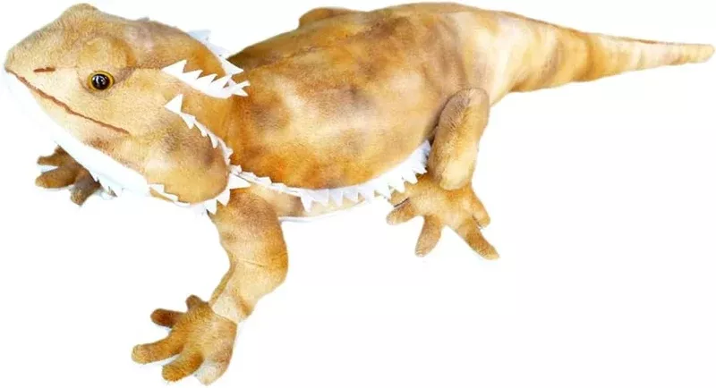 Boogie Bearded Dragon Soft