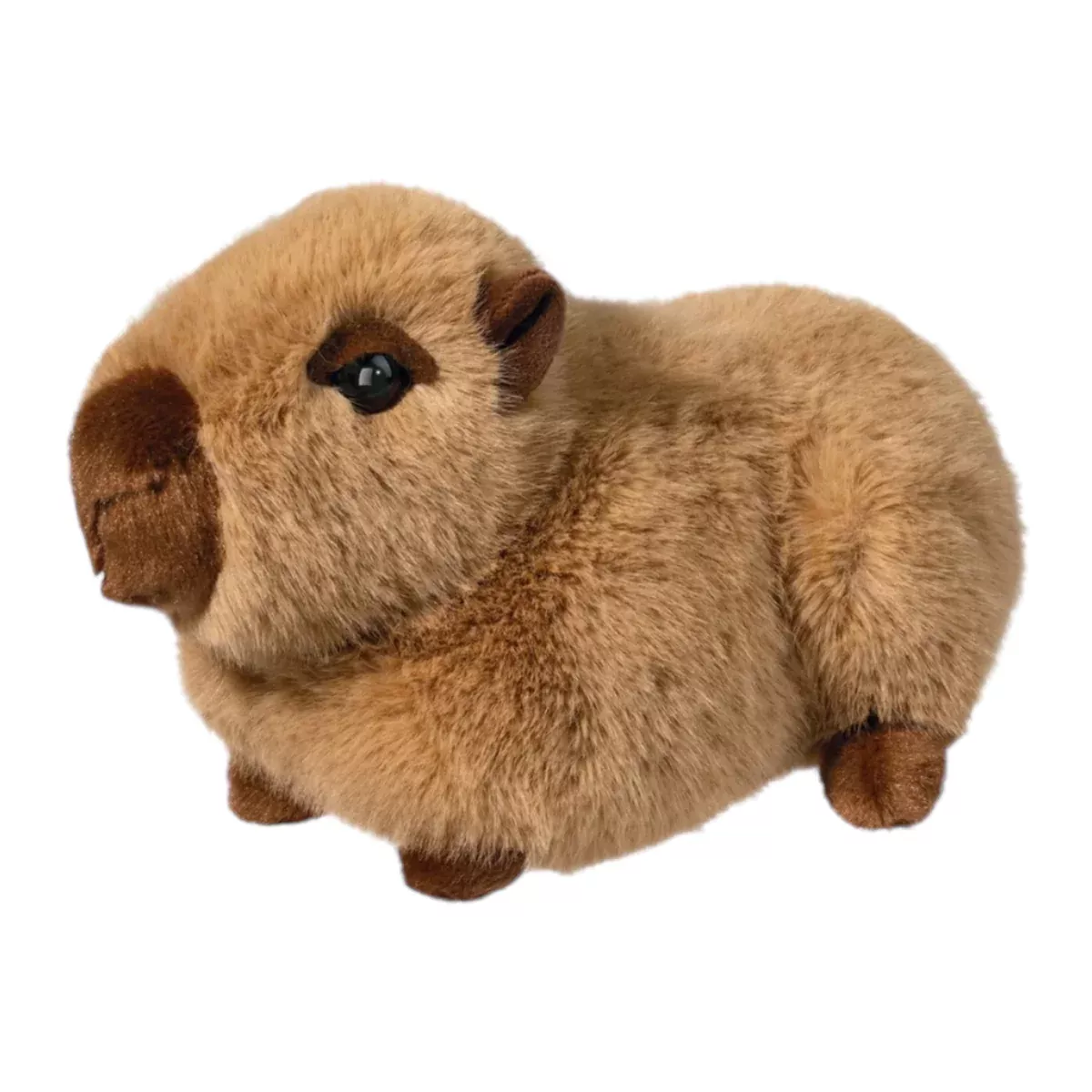 Chattie Capybara Plush