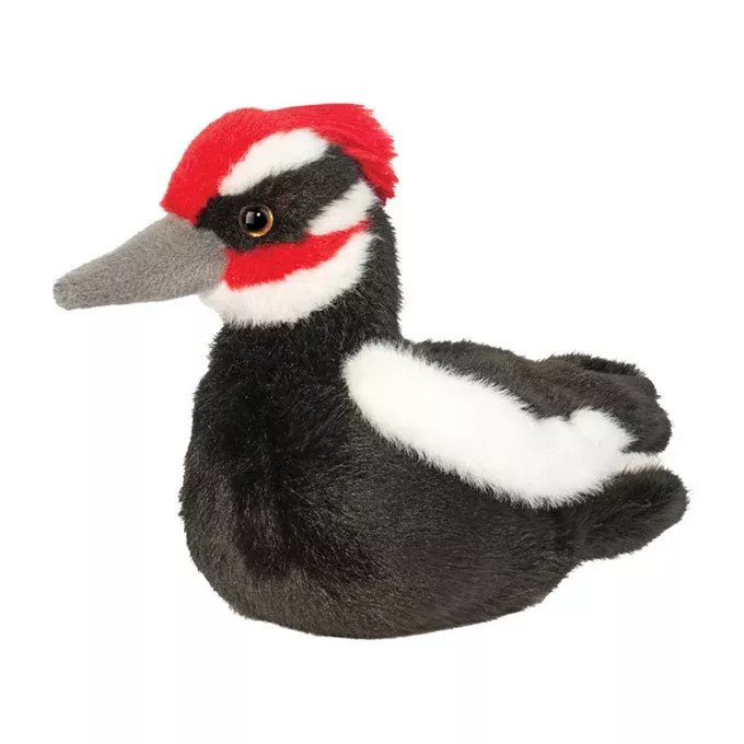 Douglas Carver Woodpecker