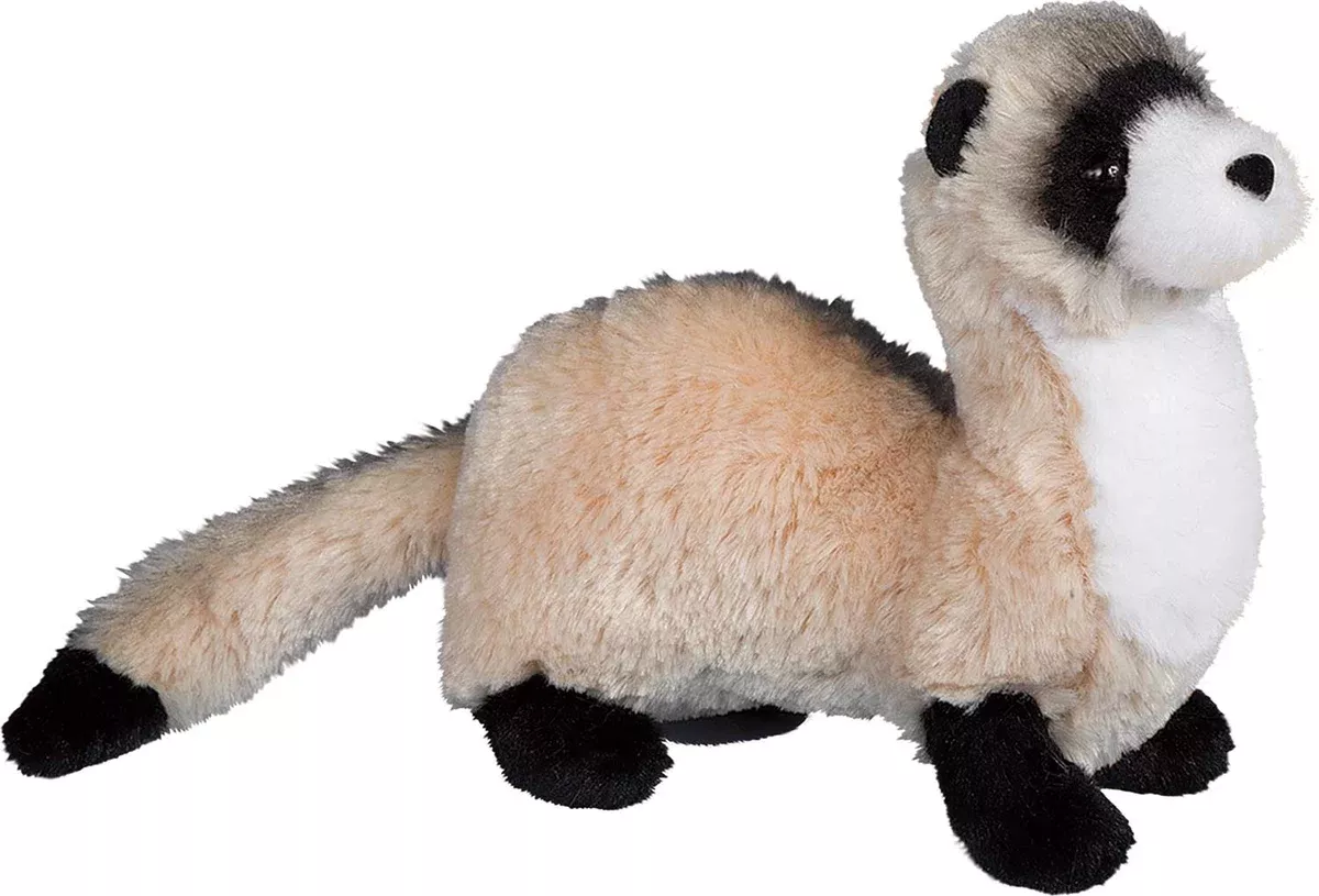 Douglas Dapper Ferret