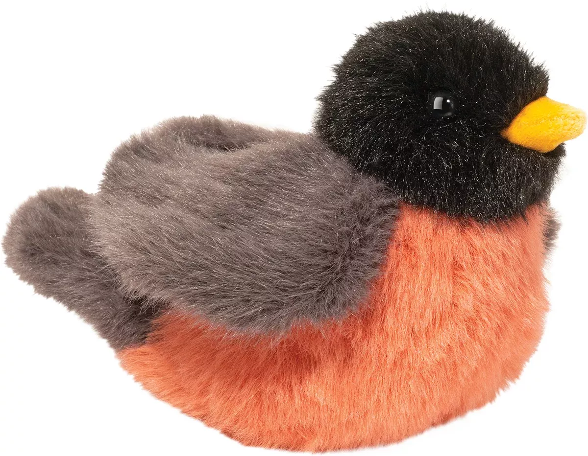 Douglas Melody Robin
