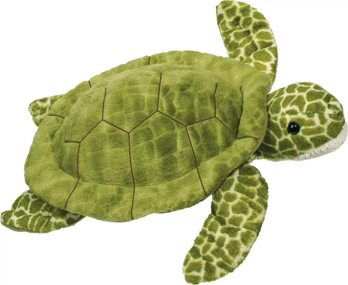 Douglas Pebbles Turtle
