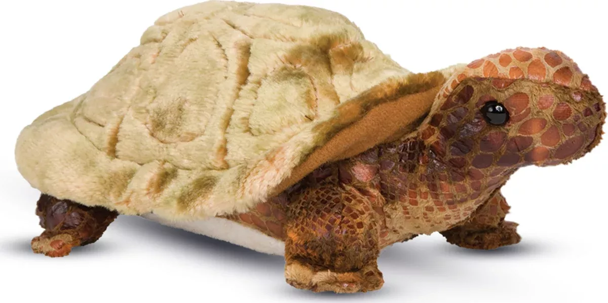 Douglas Speedy Tortoise