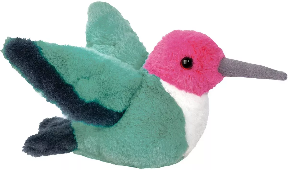 Douglas Twirlie Hummingbird