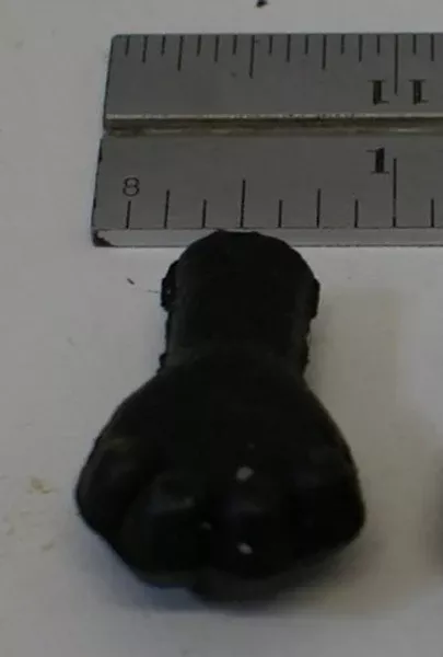 Hand: Alarm Clock Bear