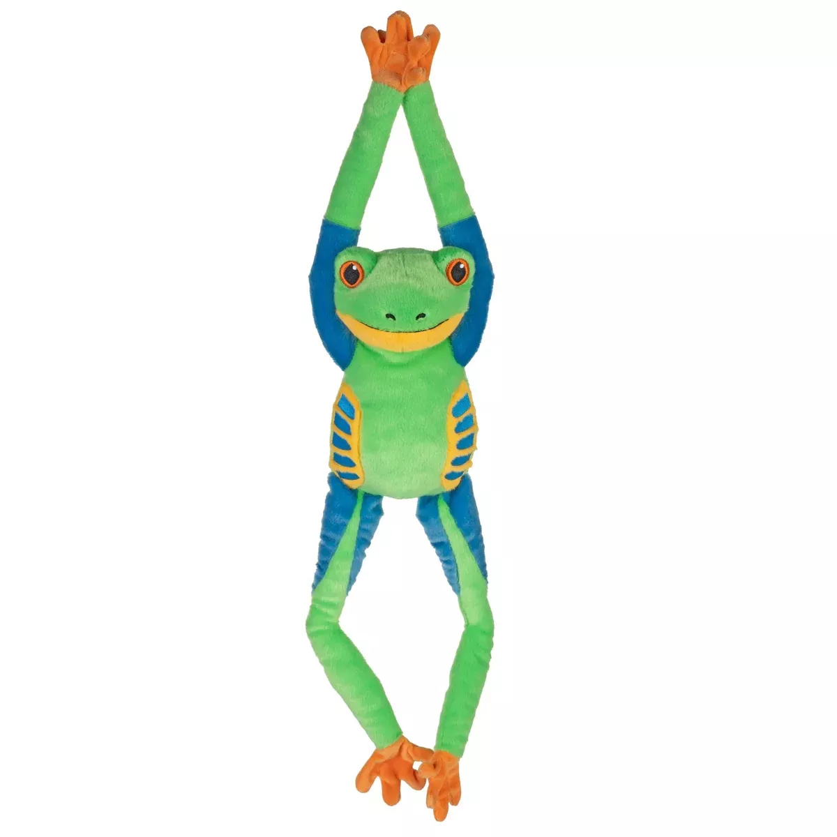 Hanging Eco Red-Eyed Tree Frog