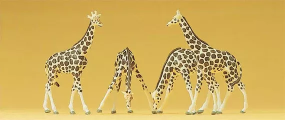 Preiser 79715 N Scale Giraffes Figure Set