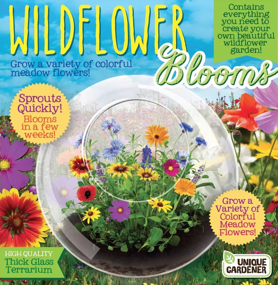 Wildflowers and Glass Terrarium